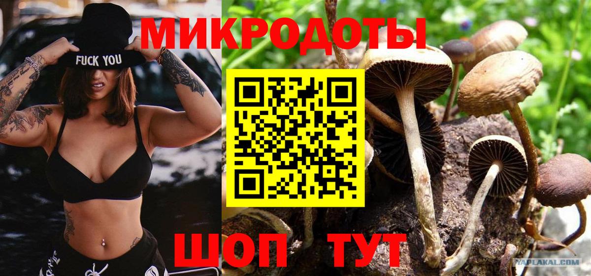 Псилоцибиновые грибы Psilocybe Лесной